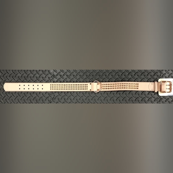 BOND Big Dog Leather Spike 35" long collar - Picture 3 of 5